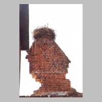 111-1090 Das Storchennest auf der Ruine der Wehlauer Kirche im Juli 2002 (Foto W.Witt).jpg